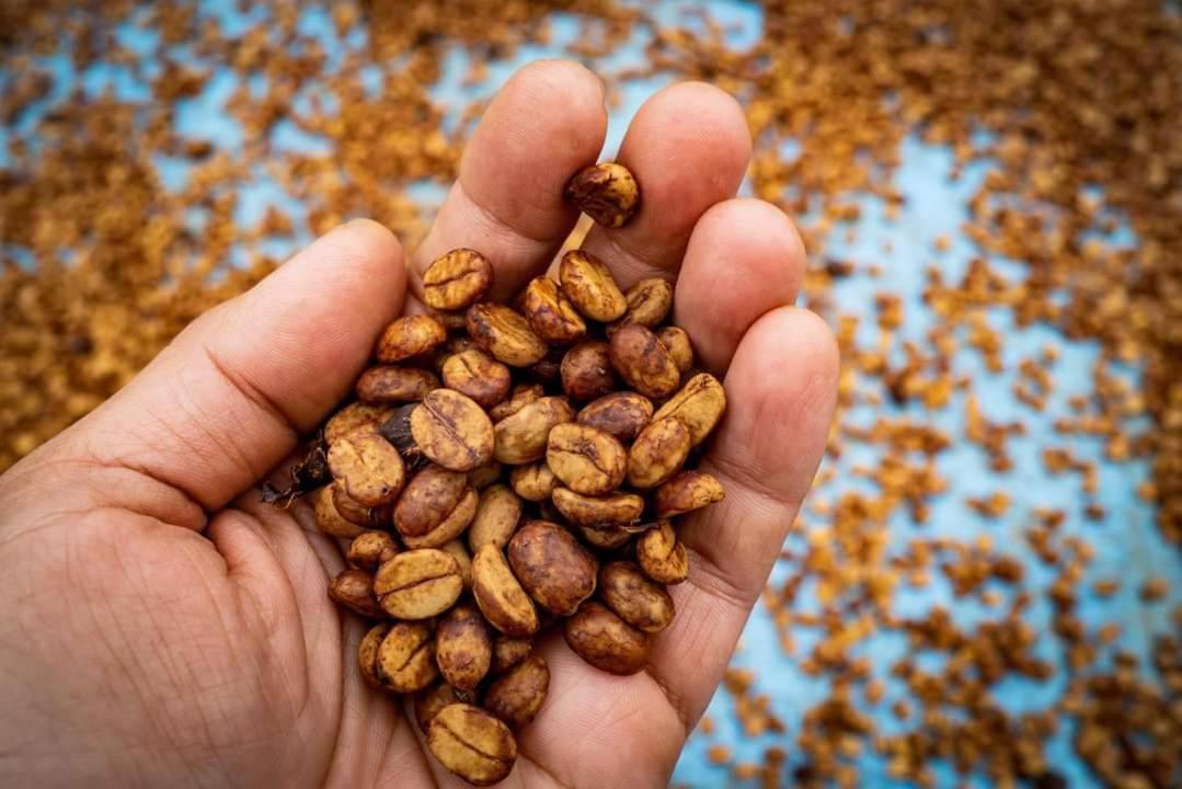 Hongpeng Coffee Station Homestay Meishan Екстериор снимка